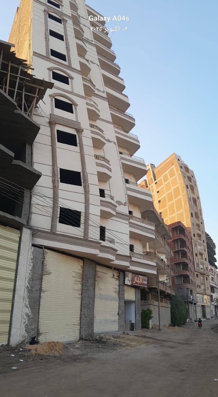 المحلة الكبرى , منطقة ابو راضى